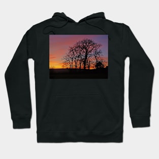 Sunset silhouette Hoodie